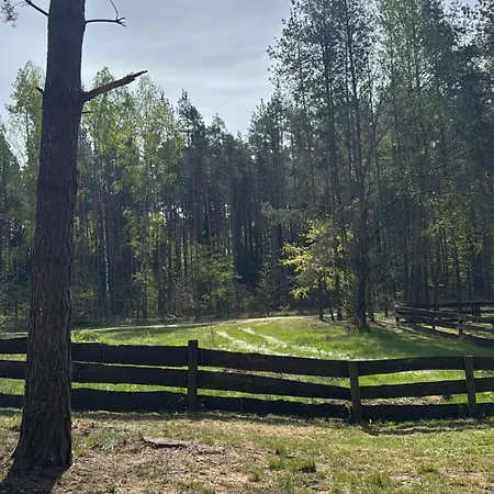 Na Zboczu - Rodzinny W Lesie Na Mazurach Z Basenem I Sauna Ferienhaus Guzowy Piec
