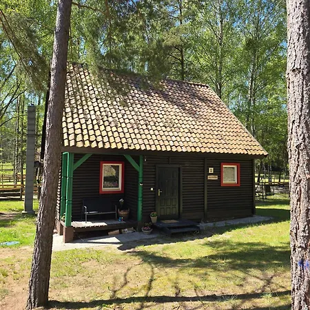 Na Zboczu - Rodzinny W Lesie Na Mazurach Z Basenem I Sauną Dom wakacyjny *