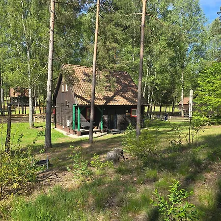 Na Zboczu - Rodzinny W Lesie Na Mazurach Z Basenem I Sauna *