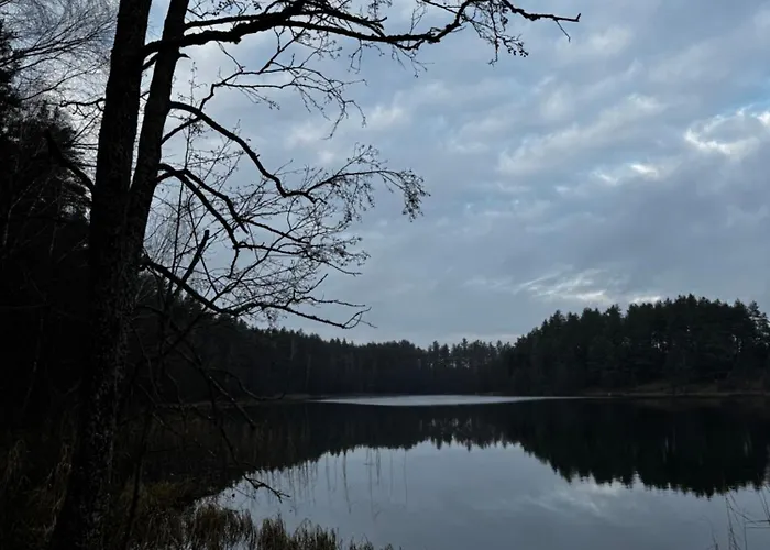 Дом отдыха Na Zboczu - Rodzinny W Lesie Na Mazurach Z Basenem I Sauna