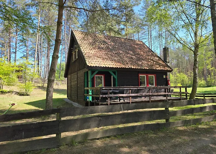 Na Zboczu - Rodzinny W Lesie Na Mazurach Z Basenem I Sauna Дом отдыха Guzowy Piec